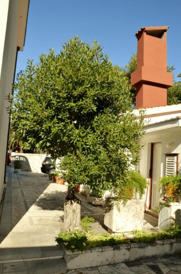 Vila Danica Zaostrog Exterior foto